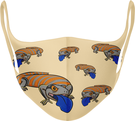 Bluey Lizard Masks - fungear.com.au