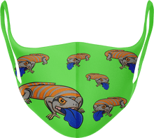  Bluey Lizard Masks - fungear.com.au
