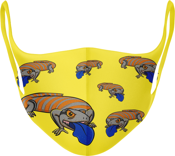 Bluey Lizard Masks - fungear.com.au